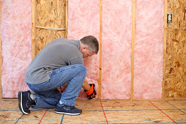 Best Types of Insulation in Cleveland, GA